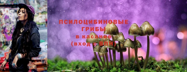 герыч Алексин